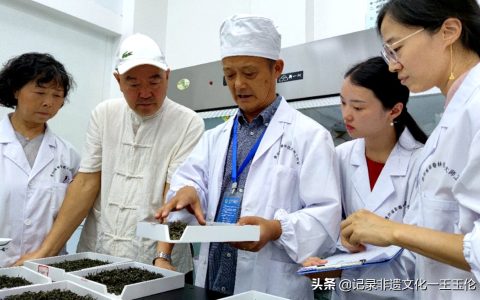 第五届全国茶业职业技能竞赛绿茶加工贵州选拔赛落幕
