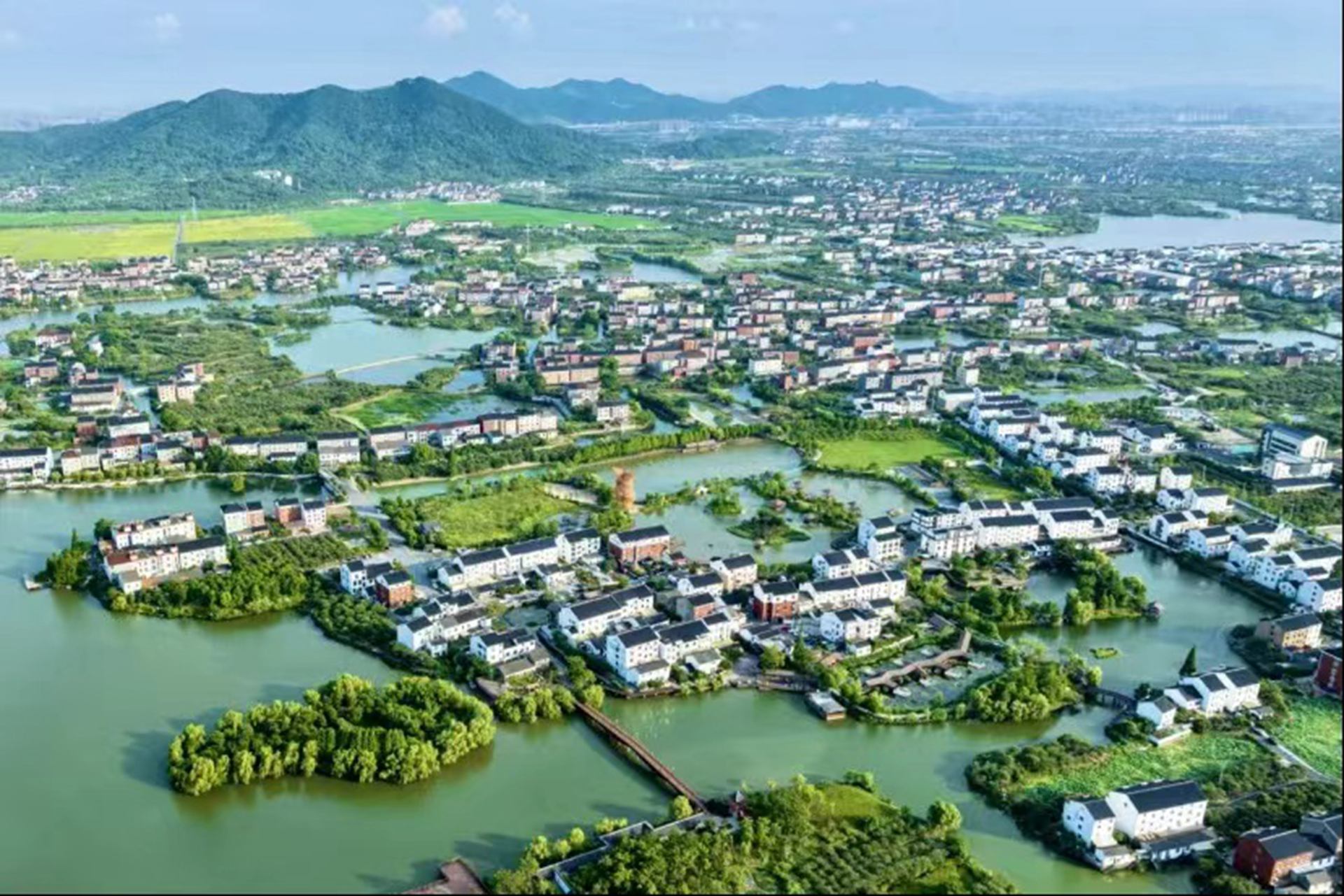 华媒记者团走进浙江：让世界透过亚运会看到杭州临平的美