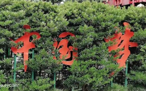 河南省商丘市梁园区行政审批和政务信息管理局加快电子证照汇聚 推进数字政府建设