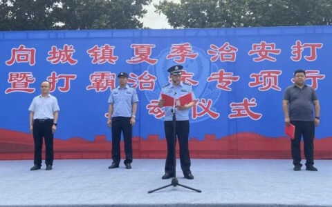 山东省兰陵县向城镇-夏季治安打击治理在行动