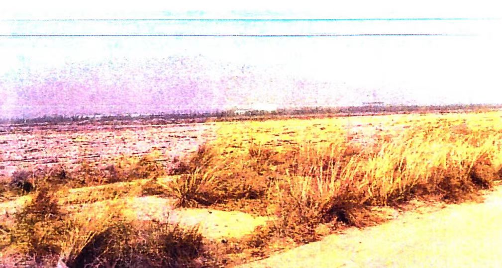 内蒙古自治区乌拉特前旗政府非法征地9千亩荒废至今，失地村民求助无门！