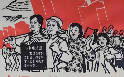 「新青年行动」新青年乡村振兴实践基地建设运营计划