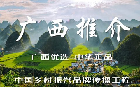 新青年助力广西乡村振兴全球推介行动