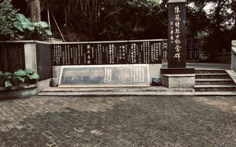 十年磨一剑：我找回一个“百年陈家”