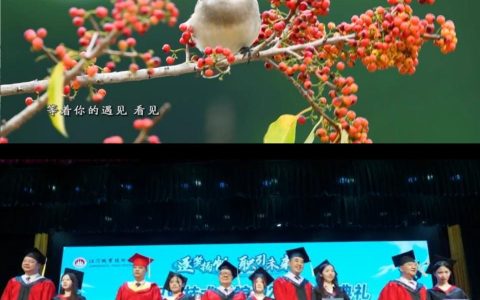 省级短视频大赛揭晓，江门侨界喜获殊荣