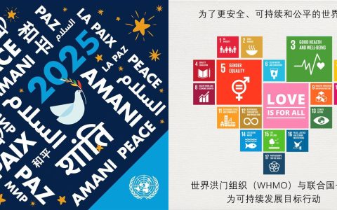 世界洪门组织2025年工作计划