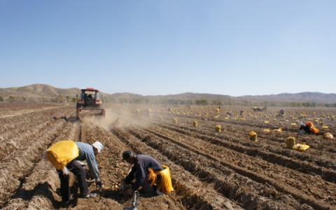 内蒙古卓资县：“志”、“智”帮扶 扶起脱贫攻坚“掉队人”