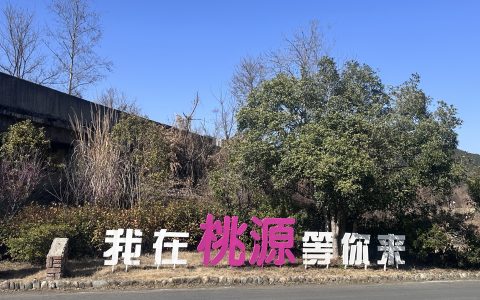 守护千年家族祭祀文化的传承者：专访国家级非遗传承人陈敦和