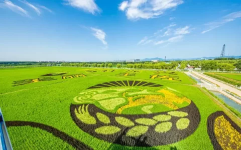 传承发展中华优秀传统生态文化