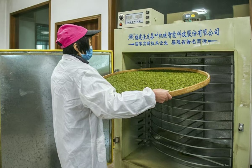 访茶农杨杰