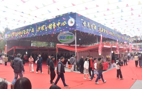 2025年沙琅三月三文化节暨第四十四期“沉香山大讲堂”成功举行