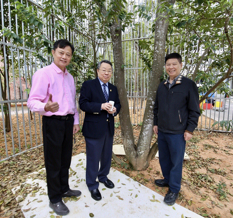 世界华文媒体携手电白沉香协会 共推沉香文化走向全球