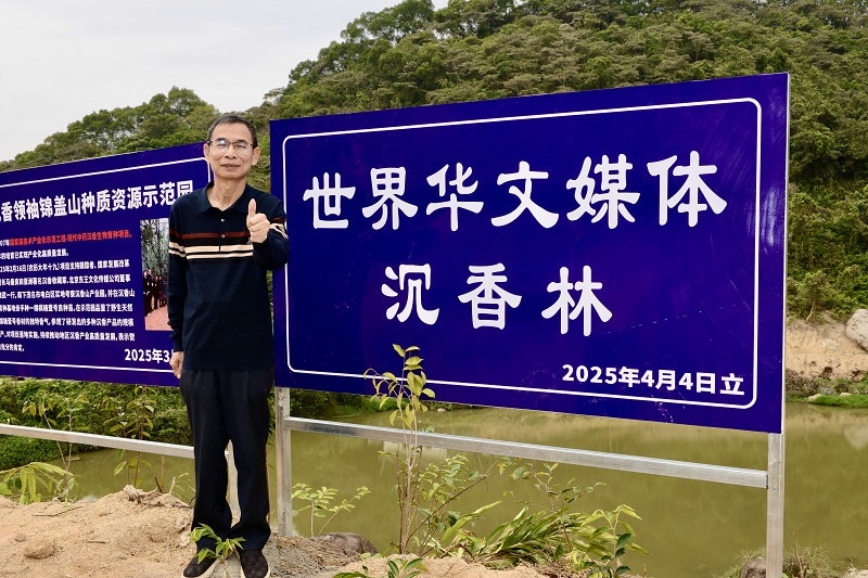 世界华文媒体携手电白沉香协会 共推沉香文化走向全球