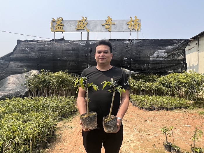 华文媒体中国沉香之乡考察行
