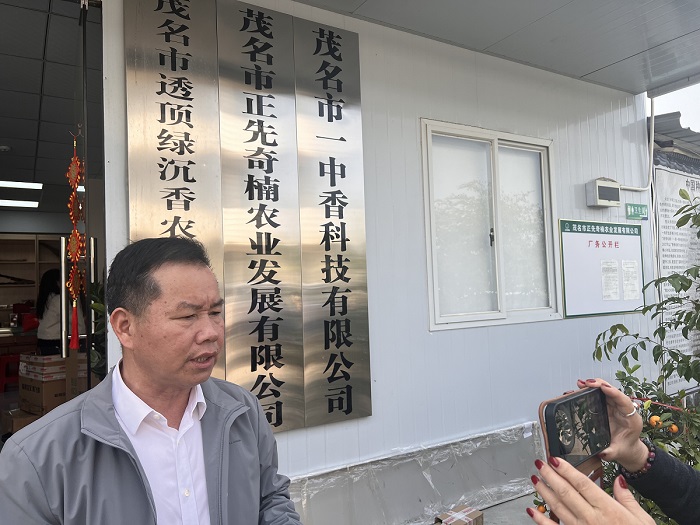 华文媒体中国沉香之乡考察行