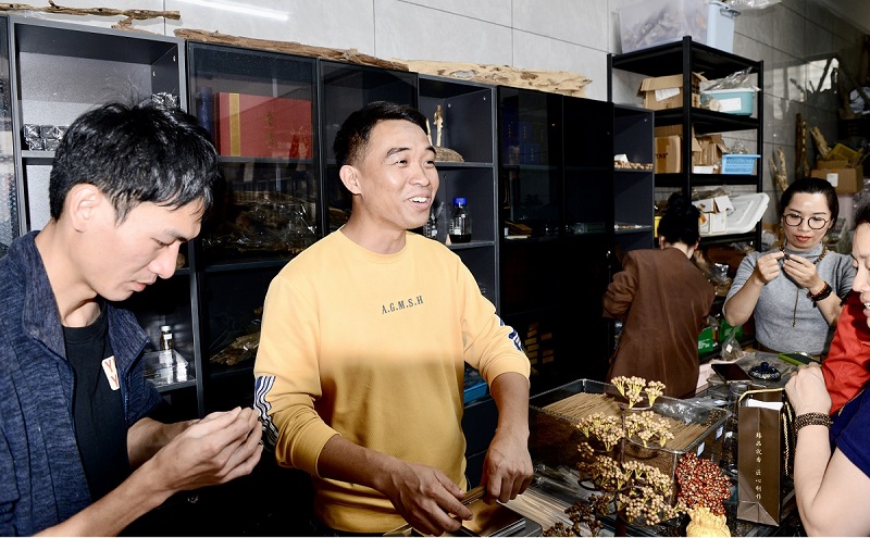 华文媒体中国沉香之乡考察行