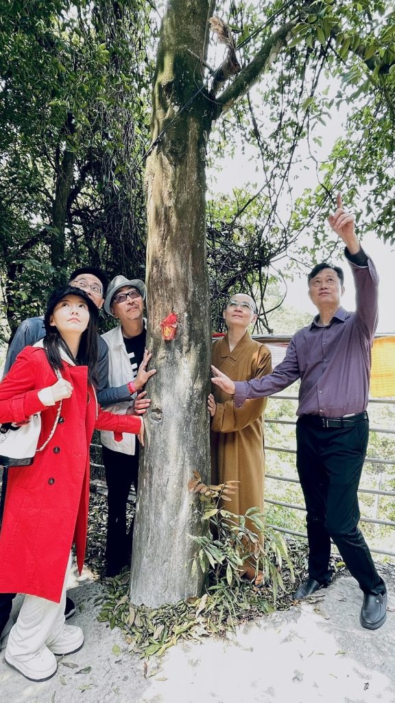 华文媒体中国沉香之乡考察行