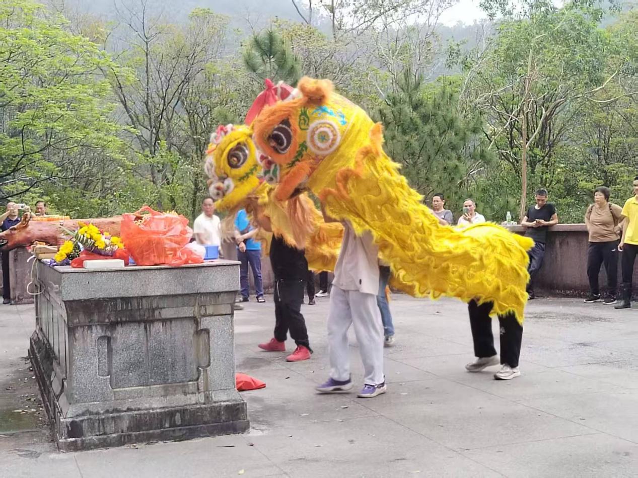 黄菊传薪火，颂歌献先贤——新会各界清明祭拜谭镳先生墓