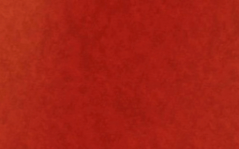 中国致公党中央副主席兼秘书长卢国懿会见非洲“一带一路”重点国家统促会联合访问团