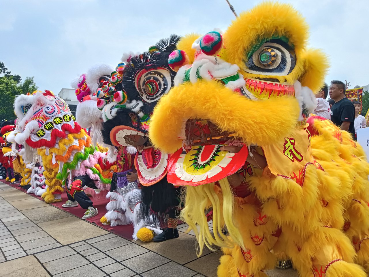 湾区盛事：蔡李佛青少年狮艺大赛江门开赛