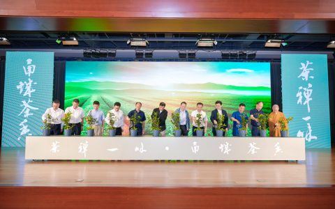 宁波举办第六个 “国际茶日” 庆祝活动：奏响茶产业与文化交响曲