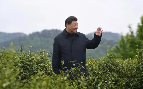 图文故事｜“把茶产业做大做强”