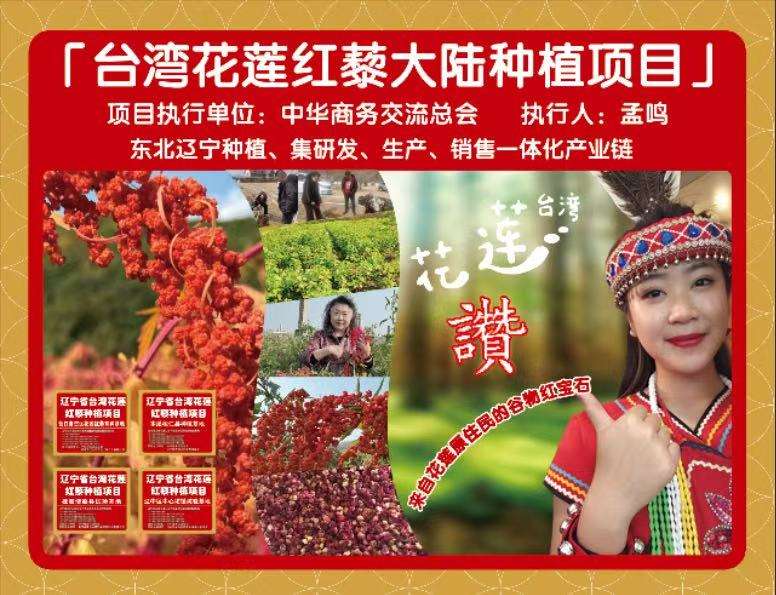 从台湾原住民“生命粮”到粤北试验田的“跨界之旅”