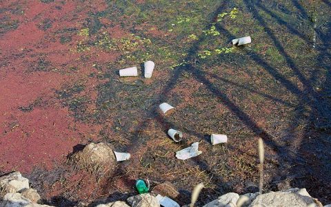 当代人的历史责任——化解人类生存危机的迫切呼唤