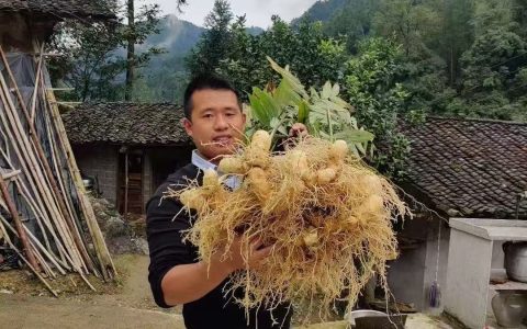 吴奇，青春在“黄精”岁月灼灼绽放