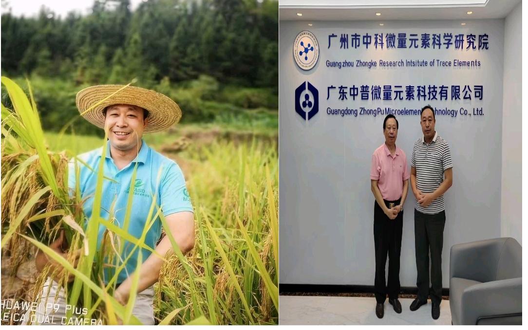 企研社携手破局！粤北荒地种出“功能粮”，共庆第45届国家粮食日
