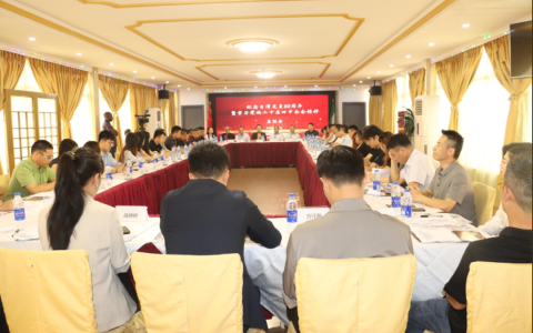 中国驻拉各斯总领馆与西非暨尼日利亚中国和统会成功举办“纪念台湾光复80周年暨学习党的二十届四中全会精神”座谈会