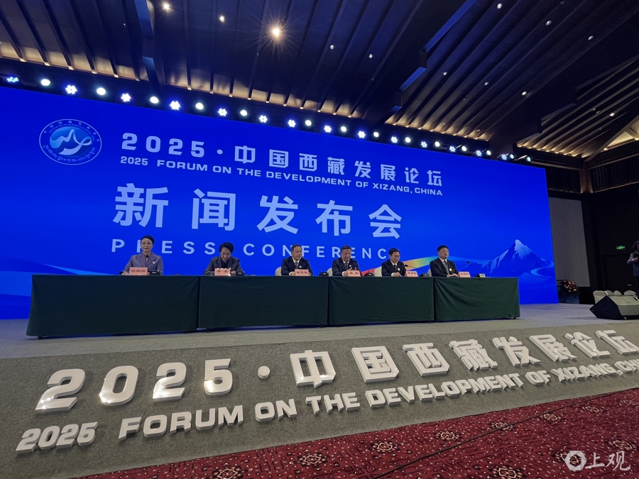 做好西藏国际传播，向世界客观展示真实、立体、全面的新西藏