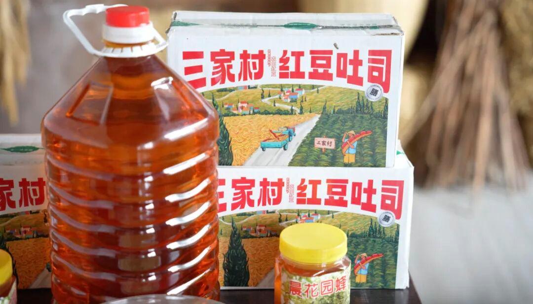 河南95后网红村支书“整顿农村”被国新办点名，登上人民日报和央视：“流量把握好了，就是财富”