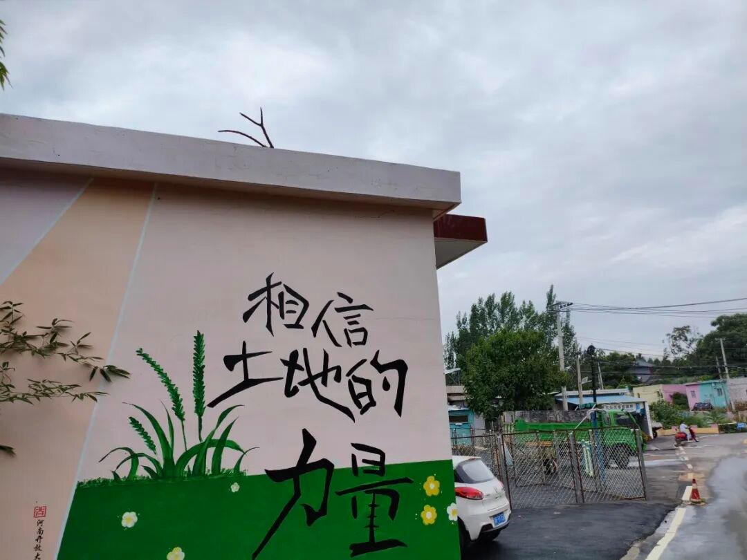 河南95后网红村支书“整顿农村”被国新办点名，登上人民日报和央视：“流量把握好了，就是财富”