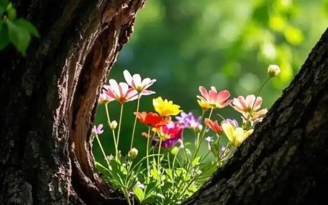 武子的诗——春天的呼唤