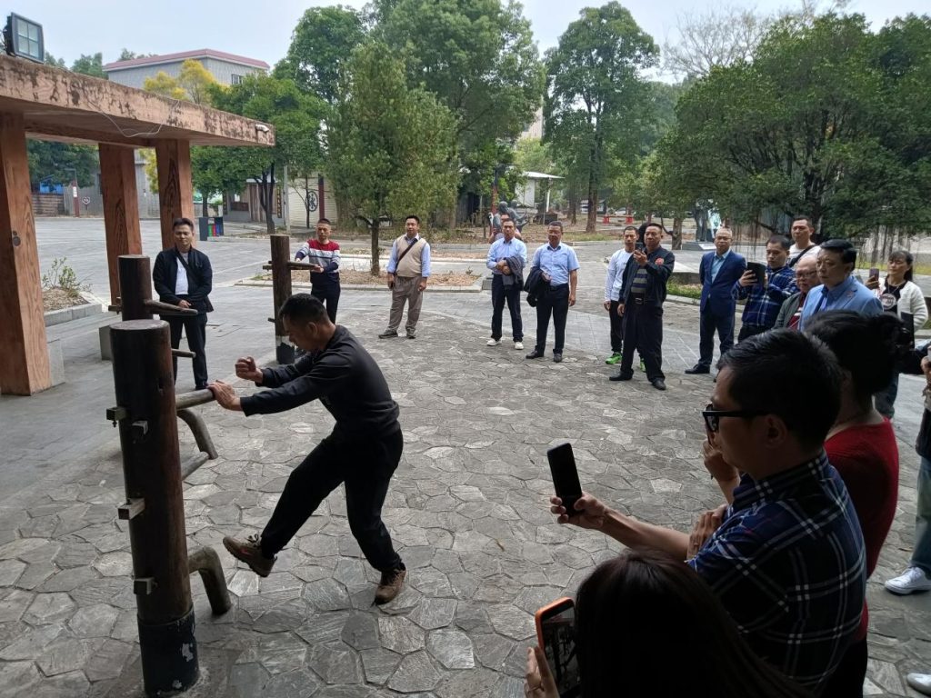 海外华媒聚焦江门：湾区明珠熠熠生辉———2025海外华文媒体江门行成果丰硕