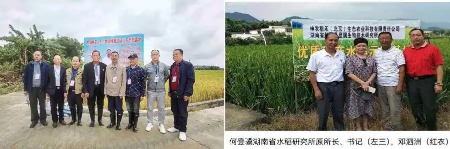 粤北产业融合“操盘手”邓泗洲：从功能性农业到全链条研究实践之路