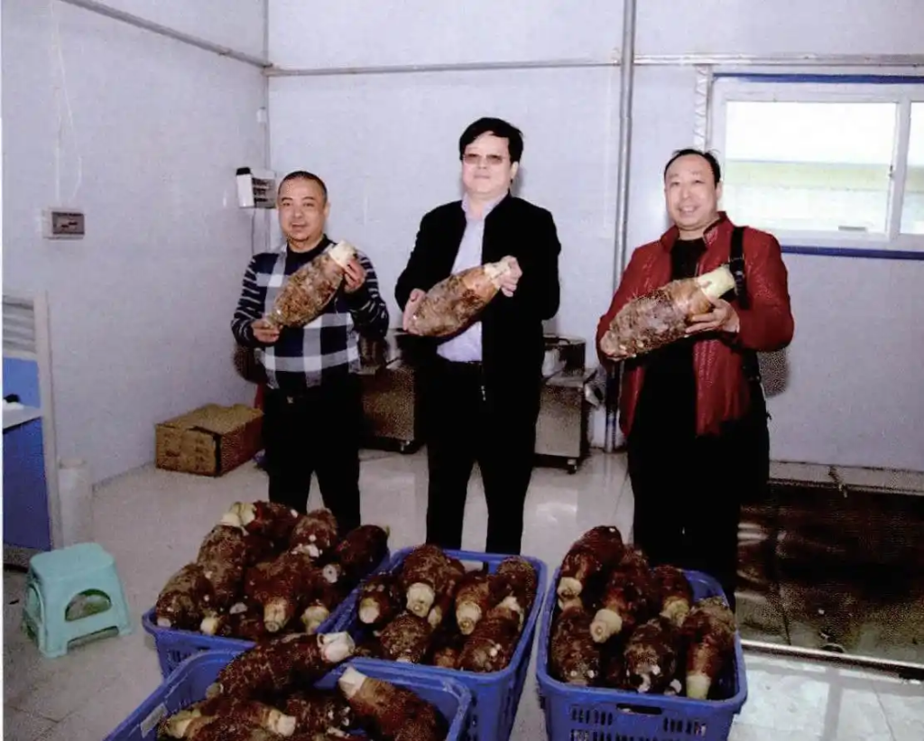 粤北产业融合“操盘手”邓泗洲：从功能性农业到全链条研究实践之路