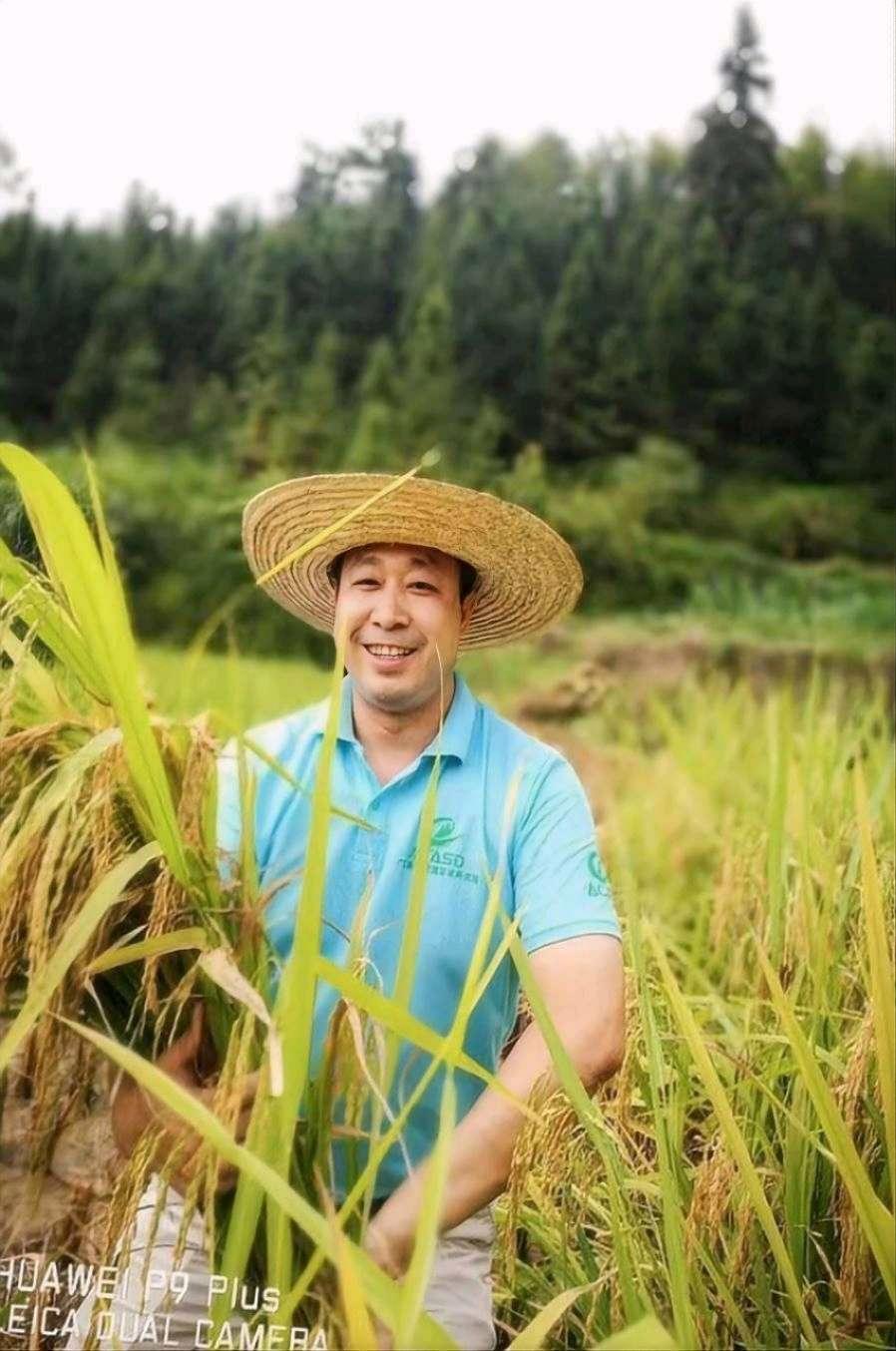 千年古村育佳稻 邓泗洲品牌稻米获评“2025中国最美县域指定大米”