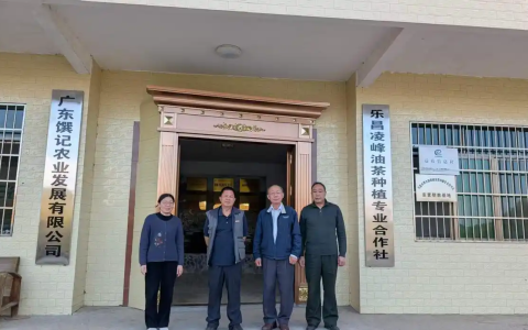 乐昌油茶香飘两岸！邓泗洲陪同台商调研凌峰油茶 拓展台湾市场
