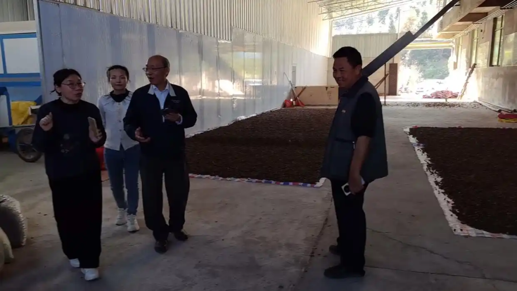 乐昌油茶香飘两岸!邓泗洲陪同台商调研凌峰油茶 拓展台湾市场