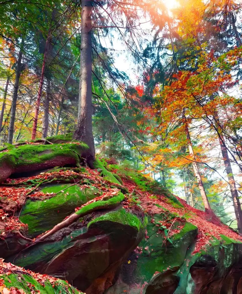 偏东、向北,遇见桦甸的万千惊艳