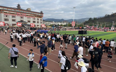 从流量狂欢到价值深耕：中国乡村振兴的战略逻辑与全球远征