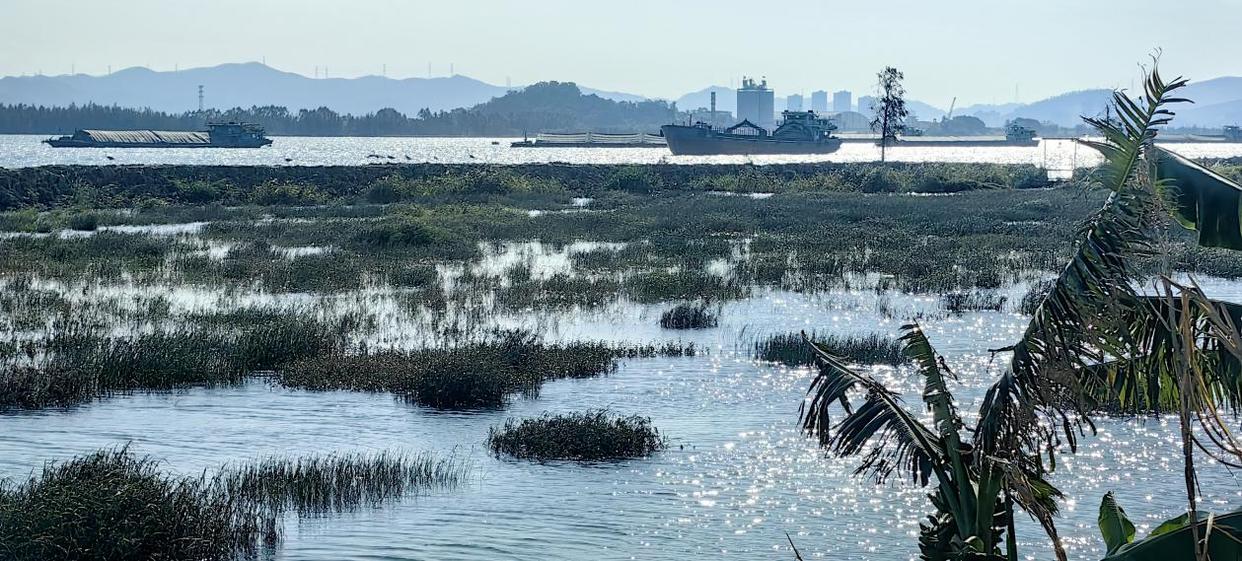 「图说侨乡」新会醉美:沙仔岛的歌声