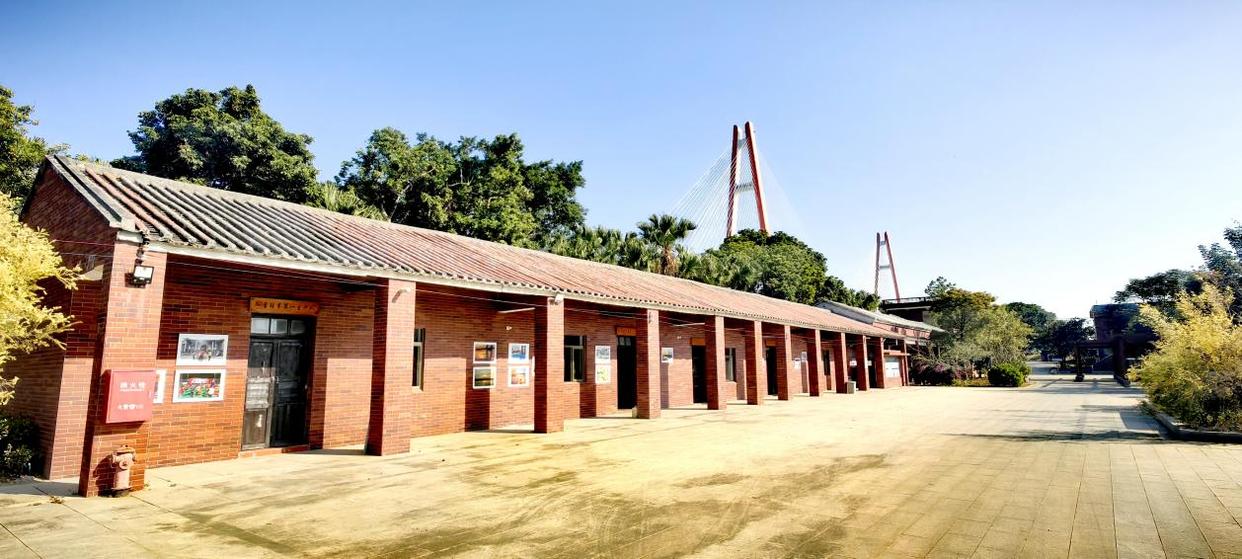 「图说侨乡」新会醉美:沙仔岛的歌声