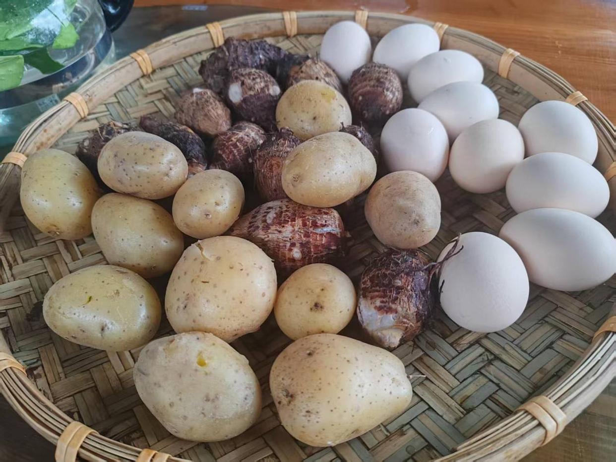 「图说侨乡」新会醉美:沙仔岛的歌声