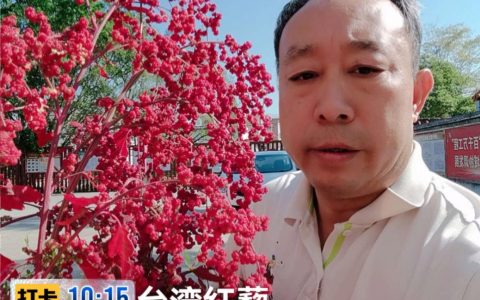 从智库到田埂——邓泗洲多维度赋能产业发展工作实践记录