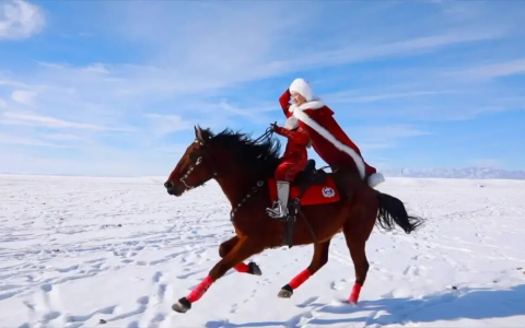 中国文旅“局长下场”热背后的隐忧：部门抢戏与民营机会缺失