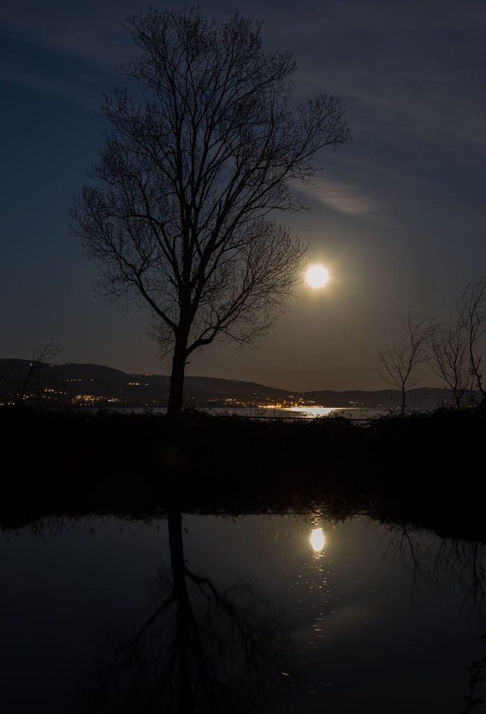 「丙午春节故事」除夕独坐