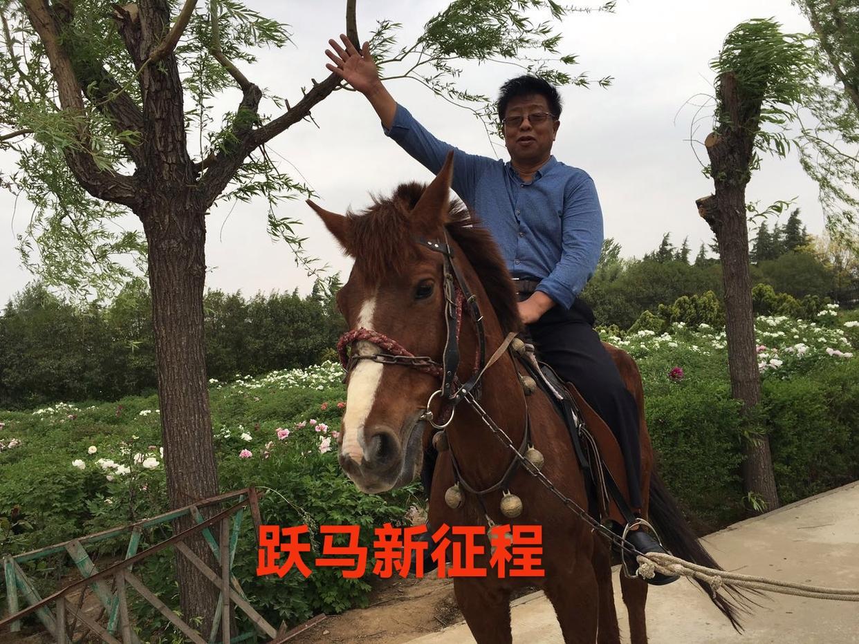 人间自有我风光